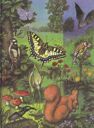 Imagen del vendedor de THE SHELL NATURE BOOK. Flowers of the Countryside. Trees and Shrubs. Birds and Beasts. Fossils, Insects and Reptiles. Wild Life. a la venta por Black Stump Books And Collectables