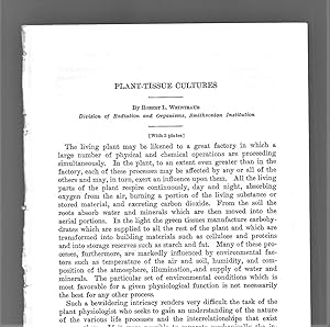 Seller image for Plant Tissue Cultures for sale by Legacy Books II