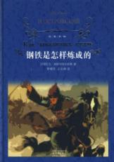 Seller image for steel How to Make [hardcover](Chinese Edition) for sale by liu xing