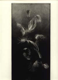 Feathers. Eight Poems by Ruth Fainlight & Mezzotints by Judith Rothchild