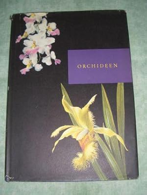 Orchideen.