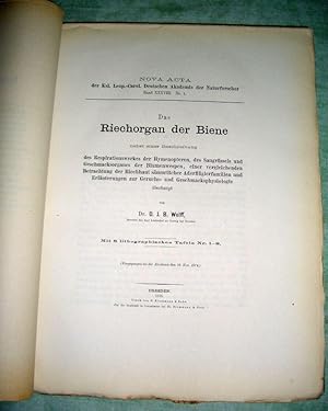 Das Riechorgan der Biene nebst einer Beschreibung des Respirationswerkes der Hymenopteren, des Sa...