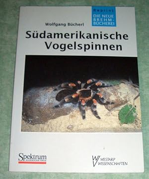 Südamerikanische Vogelspinnen.