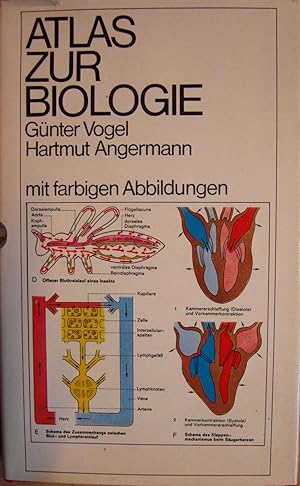 Bild des Verkufers fr Atlas zur Biologie, mit farbigen Abbildungen. Zweiter Band zum Verkauf von Alexandre Madeleyn