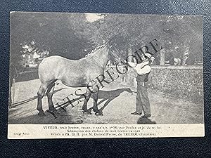 VIVEUR-TRAIT BRETON-CARTE POSTALE