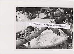 Imagen del vendedor de RCOLTE DU COTON DANS LE MANIEMA (CONGO BELGE) a la venta por LIVRESCOLLECTOR