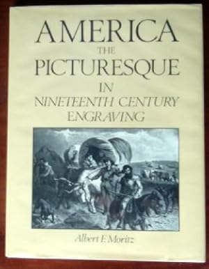 Seller image for America The Picturesque In Nineteenth Century Engraving for sale by Canford Book Corral