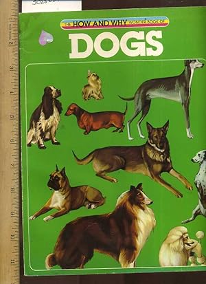 Seller image for The How and Why Wonder Book of Dogs [Pictorial Children's Reader, Learning to Read, Skill building] for sale by GREAT PACIFIC BOOKS