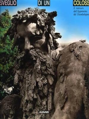 Seller image for Risveglio di un colosso. Il restauro dell'Appennino del Giambologna. demidoff for sale by FIRENZELIBRI SRL