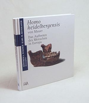 Immagine del venditore per Homo heidelbergensis von Mauer : das Auftreten des Menschen in Europa / hrsg. von Gnther A. Wagner und Karl W. Beinhauer venduto da Versandantiquariat Buchegger