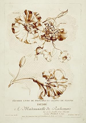 Principes et leçons de fleurs.