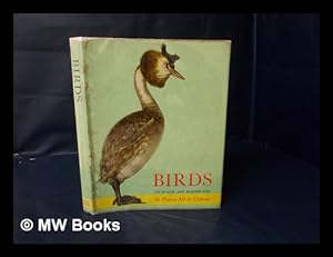Seller image for Birds of Heath and Marshland / Illustrations by E. Demartini ; Text by O. Stepanek ; Translated by A. Denesova for sale by MW Books