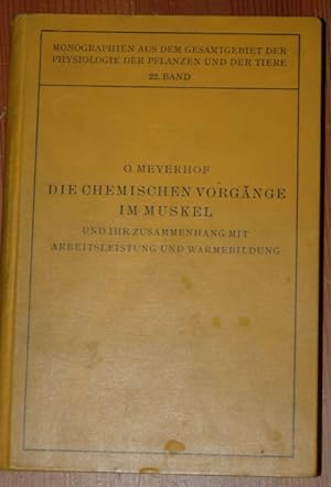Seller image for Die chemischen Vorgnge im Muskel und ihr Zusammenhang mit Arbeitsleistung und Wrmebildung. for sale by Antiquariat  Braun