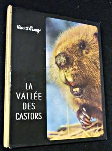 Image du vendeur pour La valle des castors mis en vente par Abraxas-libris