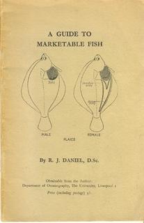 A Guide to Marketable Fish