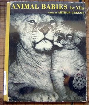 Imagen del vendedor de Animal Babies a la venta por Rainy Day Paperback