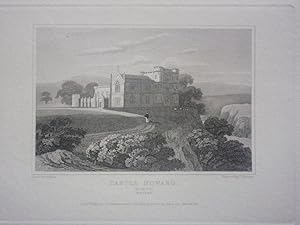 Original Antique Engraving Illustrating a View of Castle Howard in Wicklow, Ireland By J.P. Neale...