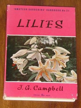 Lilies  Amateur Gardening Handbook No 21