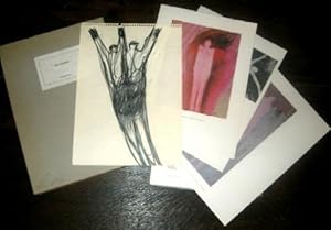 Seller image for Eva Diener. for sale by Biblion Antiquariat