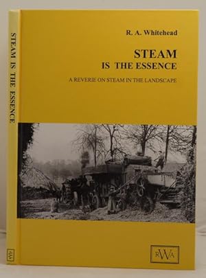Steam is the Essence. A reverie on steam in the landscape.