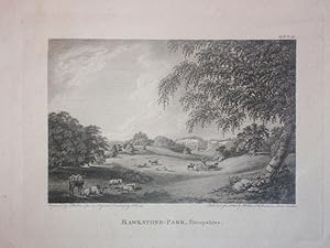 Original Antique Engraving Illustrating a Hawkstone Park in Shropshire By J. Walker. Published in...