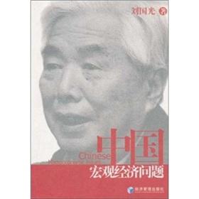 Image du vendeur pour China macroeconomic issues(Chinese Edition) mis en vente par liu xing