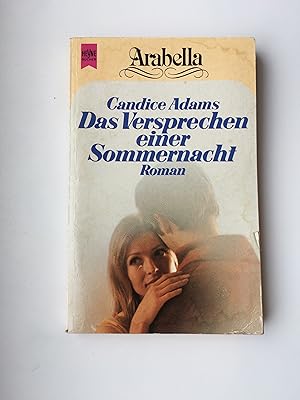 Seller image for Das Versprechen einer Sommernacht : Roman for sale by Bildungsbuch