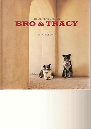 Image du vendeur pour The Adventures of Bro and Tracy mis en vente par Beverly Loveless