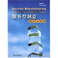 Seller image for service-based approach: Theory and Practice(Chinese Edition) for sale by liu xing