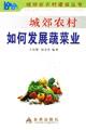 Image du vendeur pour peri-urban rural areas how to develop the vegetable industry(Chinese Edition) mis en vente par liu xing