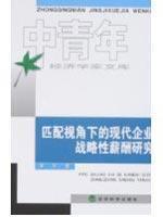 Seller image for match the perspective of a modern enterprise strategic Salary(Chinese Edition) for sale by liu xing
