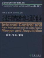 Seller image for internal control and risk management toolbox: M internal control and risk management (theory and practice cases)(Chinese Edition) for sale by liu xing