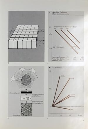 Zerebrale Computer-Tomographie.