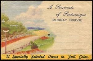 Immagine del venditore per A souvenir of picturesque Murray Bridge. venduto da Lost and Found Books