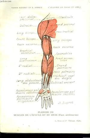 Imagen del vendedor de L'ANATOMIE EN POCHE. 4e EDITION REVUE ET AUGMENTEE. 424 PLANCGES a la venta por Le-Livre