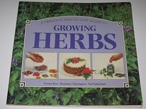 A Creative Step-by-Step Guide to Growing Herbs