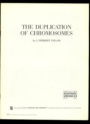 Bild des Verkufers fr Scientific American: The Duplication of Chromosomes zum Verkauf von Little Stour Books PBFA Member