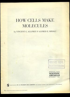 Imagen del vendedor de Scientific American: How Cells Make Molecules a la venta por Little Stour Books PBFA Member