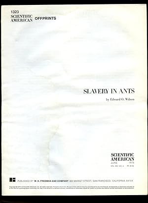 Immagine del venditore per Scientific American: Slavery in Ants venduto da Little Stour Books PBFA Member