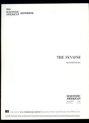 Seller image for Scientific American: The Synapse for sale by Little Stour Books PBFA Member