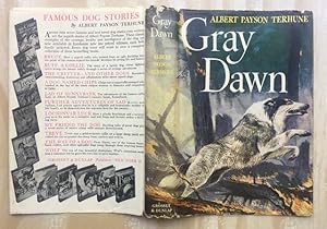 Gray Dawn