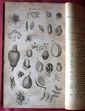 Bild des Verkufers fr The Principles of Botany, And of Vegetable Physiology. Translated from the German. zum Verkauf von Patrick Pollak Rare Books ABA ILAB