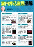 Imagen del vendedor de indoor gardening Taboo graphic(Chinese Edition) a la venta por liu xing