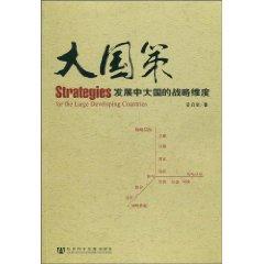 Seller image for Large national policy: the strategic dimension of large developing countries(Chinese Edition) for sale by liu xing