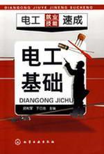 Seller image for electrical quick job skills : Electrical basis(Chinese Edition) for sale by liu xing