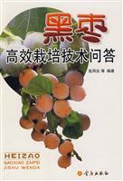 Immagine del venditore per black date Cultivation Technique Q A(Chinese Edition) venduto da liu xing