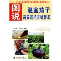 Image du vendeur pour drawings of key technologies and high yield of greenhouse eggplant(Chinese Edition) mis en vente par liu xing