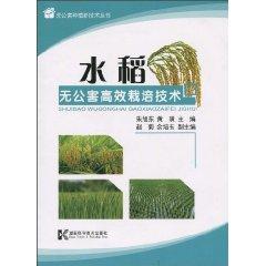 Immagine del venditore per efficient and pollution-free rice cultivation techniques(Chinese Edition) venduto da liu xing