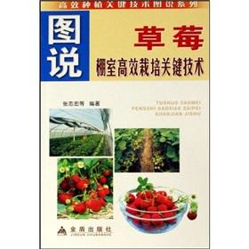 Image du vendeur pour drawings of the key technologies of strawberry cultivation efficient Greenhouse(Chinese Edition) mis en vente par liu xing