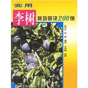 Bild des Verkufers fr practical tips plum cultivation figure of 200 cases(Chinese Edition) zum Verkauf von liu xing